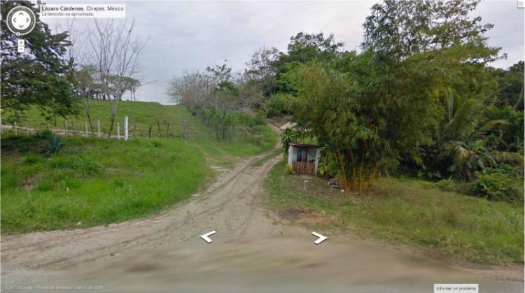 Foto Terreno en Venta en Palenque, Chiapas - 3 hectareas - $ 3.900.000 - TEV91099 - BienesOnLine