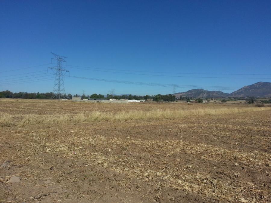 Foto Terreno en Renta en NEXTIPAC, NEXTIPAC, Jalisco - $ 15.000 - TER335723 - BienesOnLine