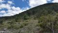 Terreno en Venta en Fraccionamiento los Andes Arteaga
