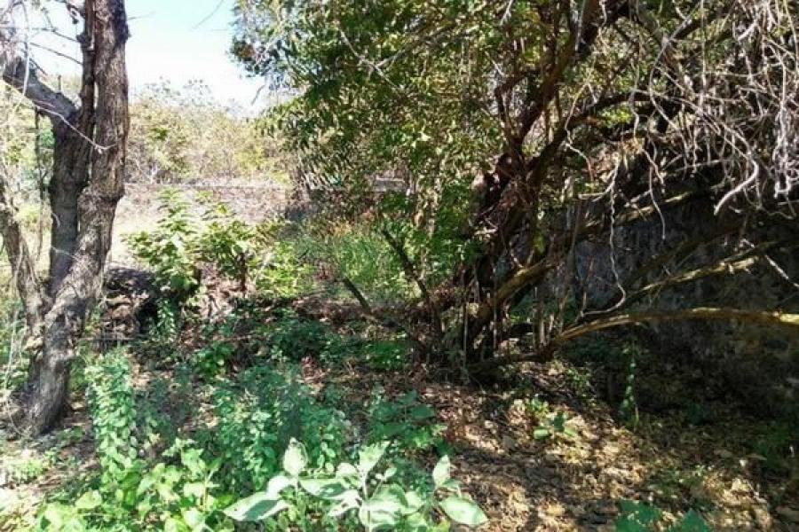 Foto Terreno en Venta en PUNTA DIAMANTE, Acapulco de Jurez, Guerrero - $ 4.160.000 - TEV314527 - BienesOnLine