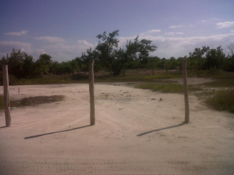 Foto Terreno en Venta en Holbox, Quintana Roo - $ 2.000.000 - TEV40553 - BienesOnLine
