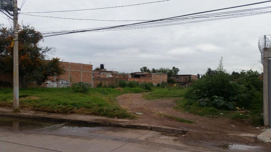 Foto Terreno en Renta en MADERO, Celaya, Guanajuato - TER250536 - BienesOnLine