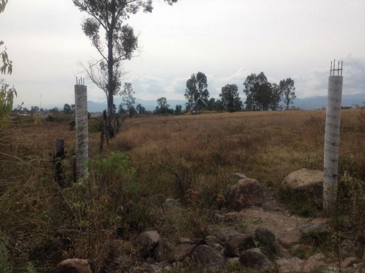 Foto Terreno en Venta en MALINALTENANGO, Ixtapan de la Sal, Mexico - $ 2.800.000 - TEV122776 - BienesOnLine