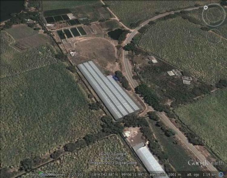 Foto Terreno en Venta en Ticumn, Morelos - 2 hectareas - $ 4.000.000 - TEV81078 - BienesOnLine