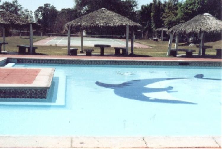 Foto Terreno en Venta en Islas de Cuautla, Ciudad Ayala, Morelos - $ 150.000 - TEV1953 - BienesOnLine