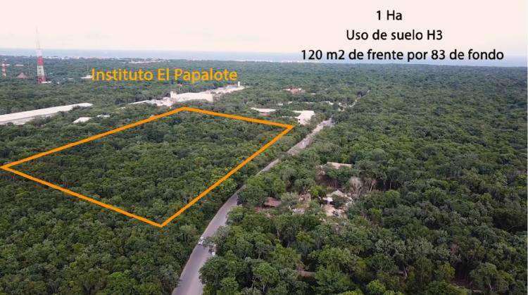 Foto Terreno en Venta en Ejidal, Solidaridad, Quintana Roo - 1 hectareas - TEV240052 - BienesOnLine