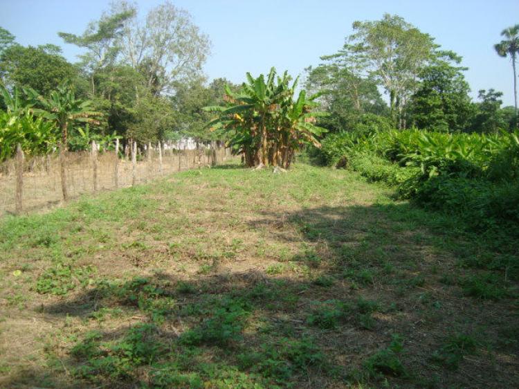 Foto Terreno en Venta en Boqueron, Ro Viejo 1a. Seccin, Tabasco - $ 450.000 - TEV163285 - BienesOnLine