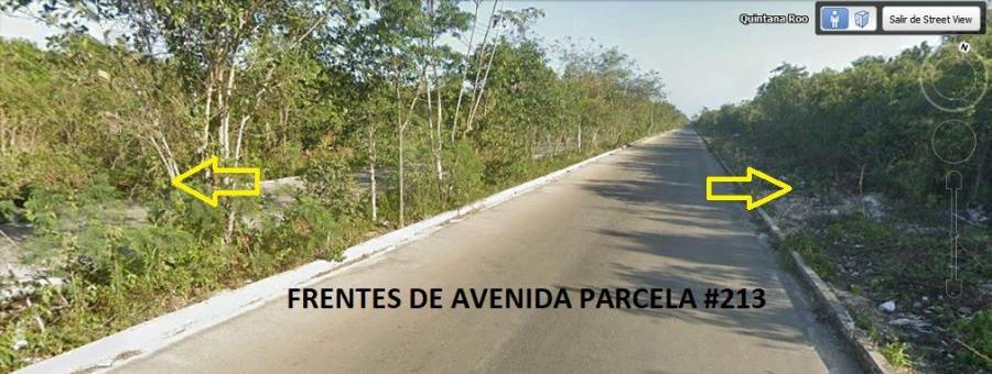 Foto Terreno en Venta en Zona Norponiente, Cancn, Quintana Roo - 90 hectareas - $ 315.000.000 - TEV308338 - BienesOnLine