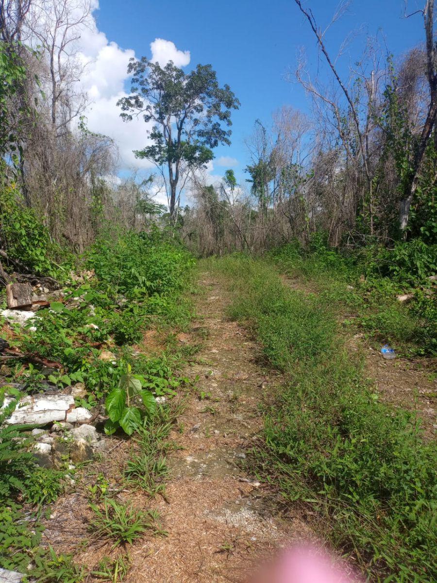Foto TERRENO EN 135000 PESOS CON CESION DE DERECHO