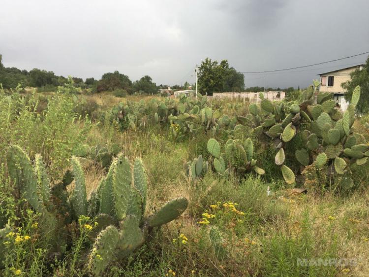 Foto Terreno en Venta en ACOLMAN, Acolman de Nezahualcyotl, Mexico - $ 800.000 - TEV188879 - BienesOnLine