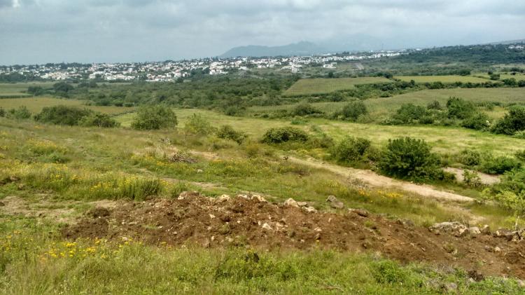 Foto Terreno en Venta en Atlatlahucan, Morelos - $ 80.000 - TEV186159 - BienesOnLine