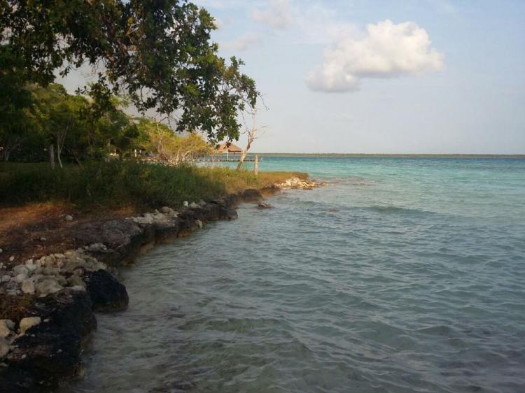 Foto Terreno en Venta en bacalar, Bacalar, Quintana Roo - $ 4.000.000 - TEV168128 - BienesOnLine
