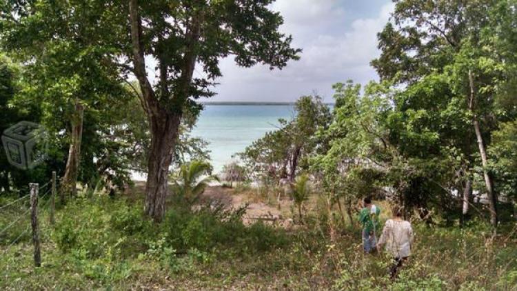 Foto Terreno en Venta en bacalar, Bacalar, Quintana Roo - $ 2.250.000 - TEV188960 - BienesOnLine