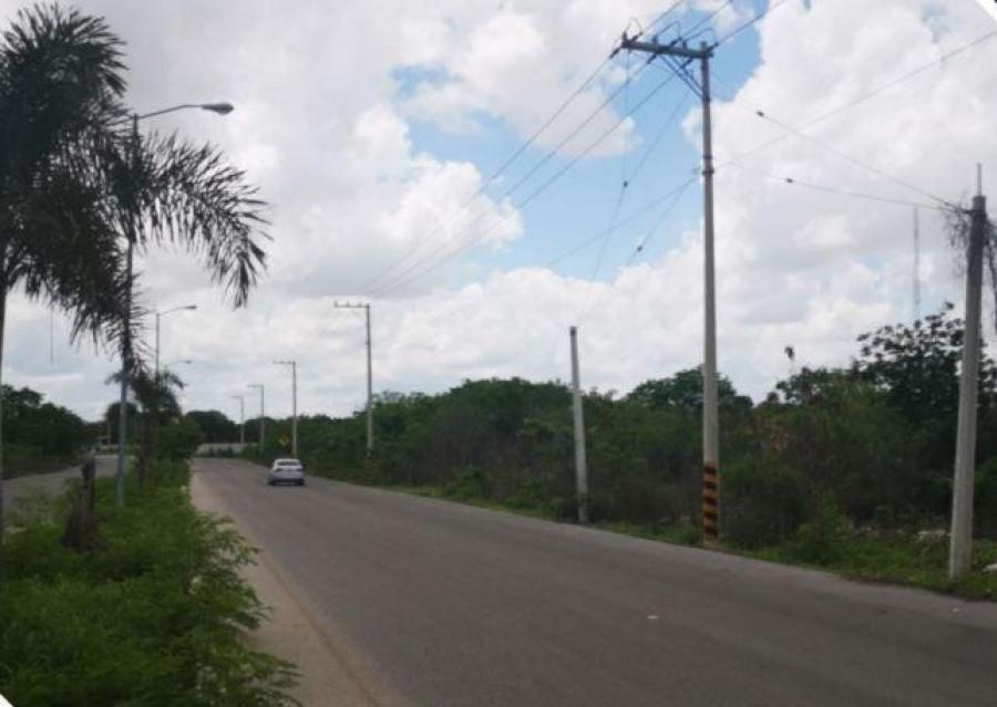 Foto Terreno en Venta en CIUDAD CAUCEL, CAUCEL, Yucatan - $ 320.000 - TEV311769 - BienesOnLine