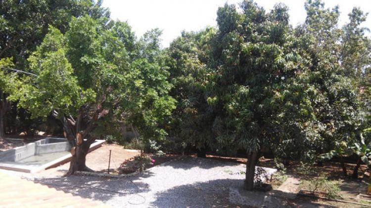 Foto Terreno en Venta en Jardines de Delicias, Cuernavaca, Morelos - $ 1.500.000 - TEV134947 - BienesOnLine