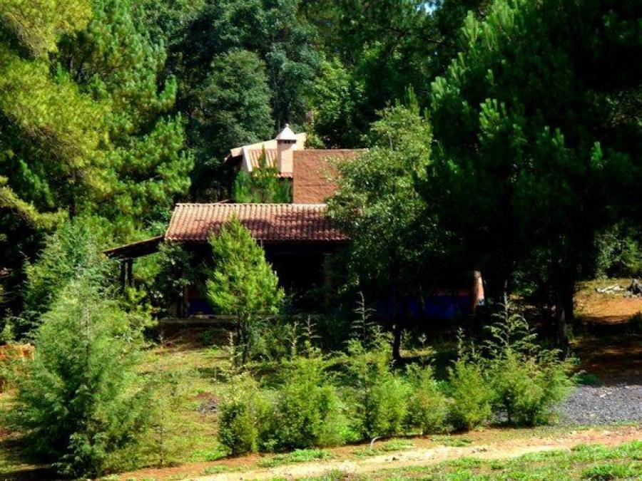 Foto Terreno en Venta en BOSQUES DE ATECUARO, ATECUARO, Michoacan de Ocampo - $ 550.000 - TEV249704 - BienesOnLine