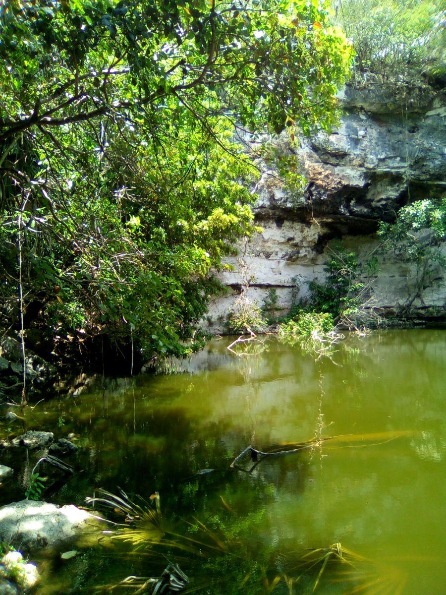 Foto Terreno en Venta en Hunuk, Yucatan - 30 hectareas - $ 3.500.000 - TEV259484 - BienesOnLine