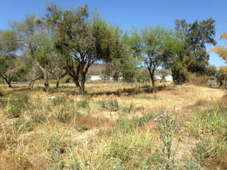 Foto Terreno en Venta en Santa Rosa, Ixtlahuacn de los Membrillos, Jalisco - $ 4.546.500 - TEV203877 - BienesOnLine