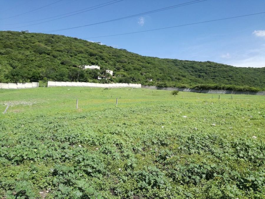 Foto Terreno en Venta en La Joya, Yautepec de Zaragoza, Morelos - $ 600 - TEV261981 - BienesOnLine