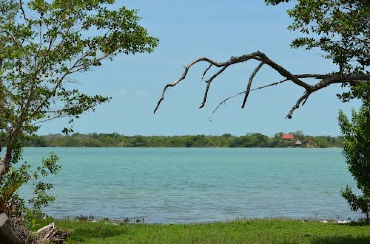 Foto Terreno en Venta en Laguna Guerrero, Quintana Roo - 21 hectareas - $ 2.500.000 - TEV218314 - BienesOnLine
