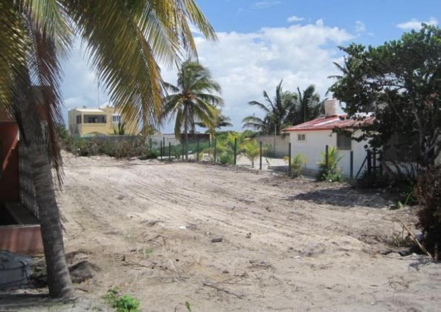 Foto Terreno en Venta en Progreso, Yucatan - $ 246.000 - TEV305319 - BienesOnLine