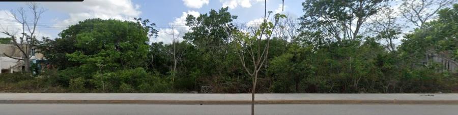 Foto Terreno en Venta en Macario Gmez, Tulum, Quintana Roo - $ 4.000.000 - TEV341921 - BienesOnLine