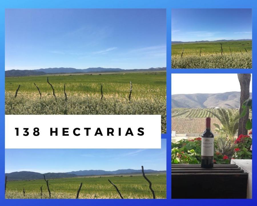 Foto Terreno en Venta en Ojos Negros, Baja California - 138 hectareas - U$D 10.500 - TEV254134 - BienesOnLine