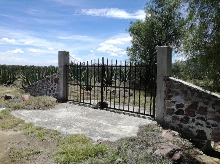 Foto Terreno en Venta en Otumba de Gmez Faras, Estado de Mxico, Mexico - $ 350 - TEV229904 - BienesOnLine