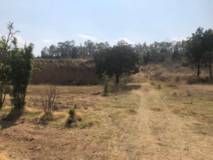 Foto Terreno en Venta en San Miguel Tlaixpan, Texcoco de Mora, Mexico - $ 450 - TEV226039 - BienesOnLine