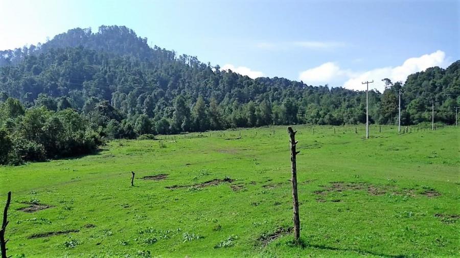 Foto Terreno en Venta en SAN AGUSTN DE LAS HUERTAS, Valle de Bravo, Mexico - 81 hectareas - $ 100 - TEV261233 - BienesOnLine