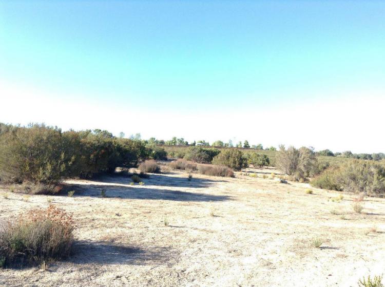 Foto Terreno en Venta en Tecate, Baja California - U$D 240.000 - TEV123302 - BienesOnLine