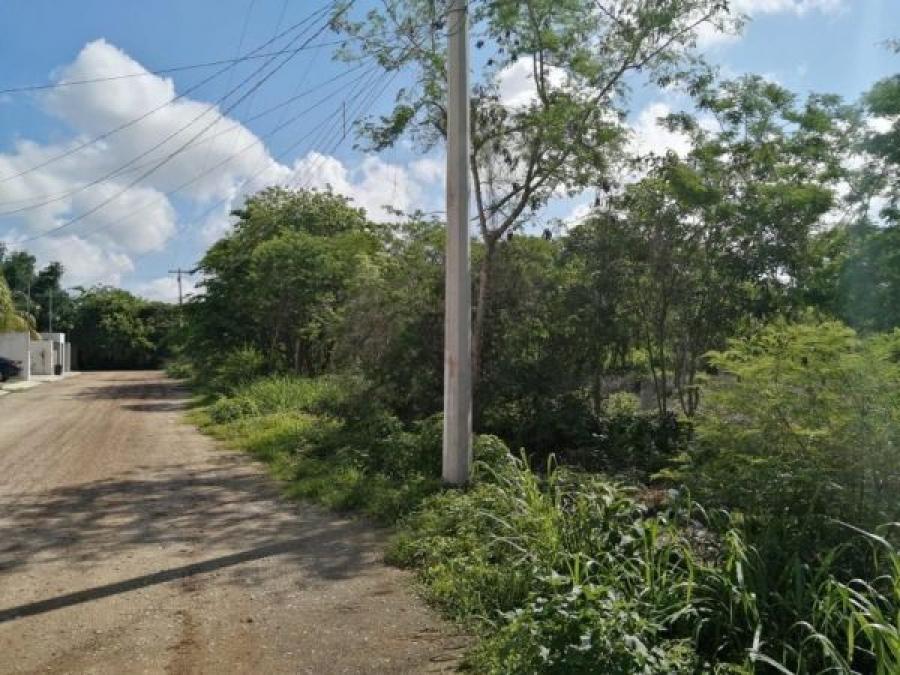 Foto Terreno en Venta en UMAN, Umn, Yucatan - $ 200.000 - TEV287678 - BienesOnLine