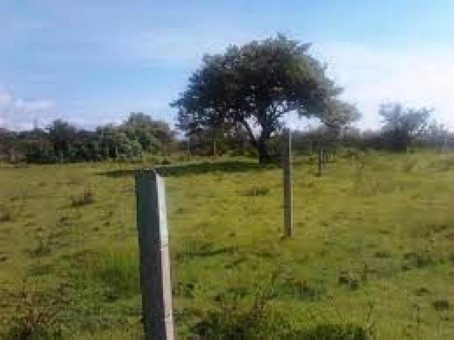 Foto Terreno en Venta en MANUEL NICOLAS, Juchitn de Zaragoza, Oaxaca - $ 442.300 - TEV312587 - BienesOnLine