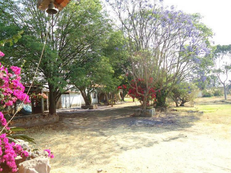 Foto Terreno en Venta en El Parian, Morelia, Michoacan de Ocampo - 2 hectareas - $ 30.000.000 - TEV101721 - BienesOnLine