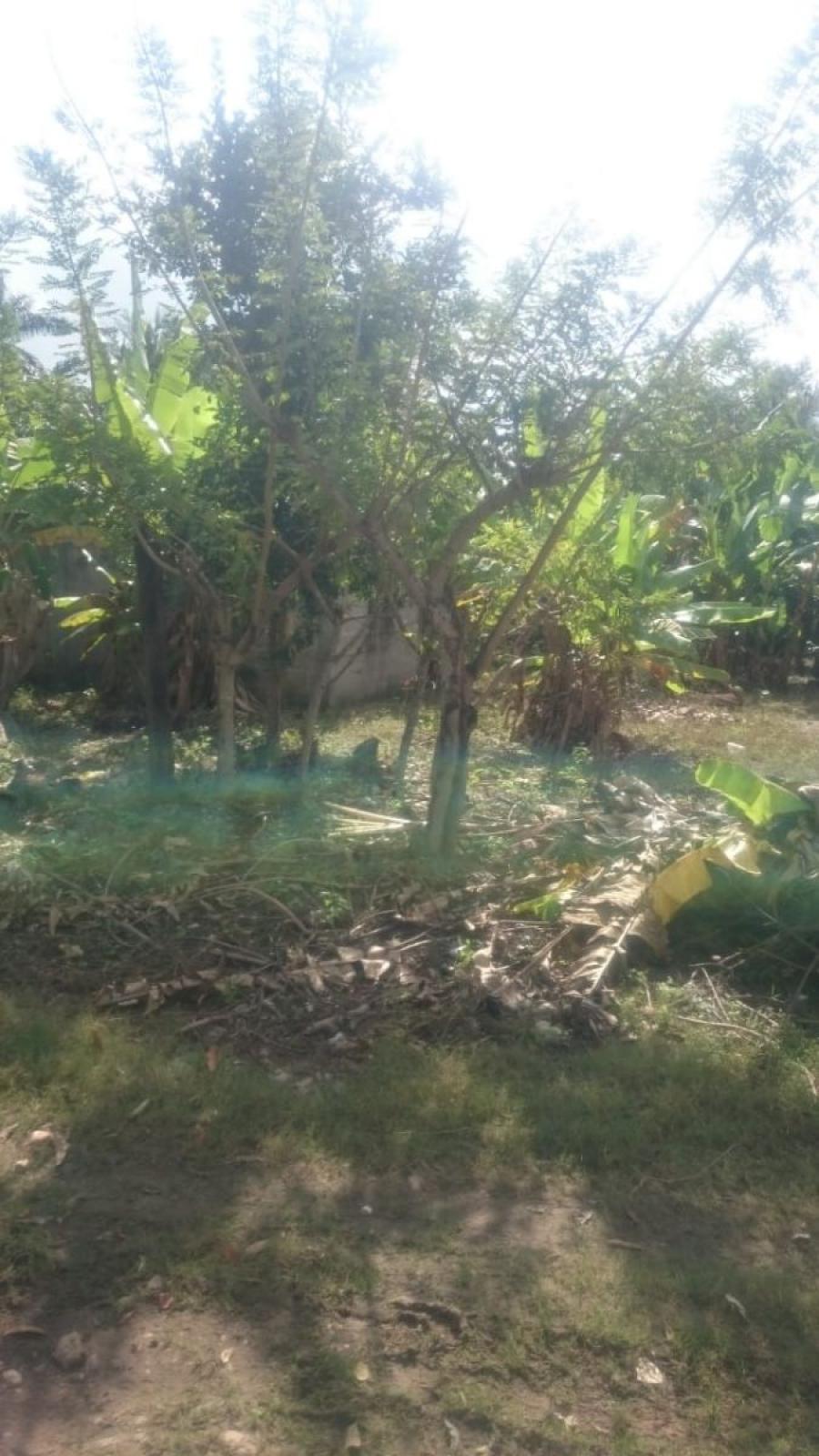 Foto Terreno en Venta en RICARDO FLORES MAGON, San Juan Bautista Tuxtepec, Oaxaca - $ 380.000 - TEV266062 - BienesOnLine