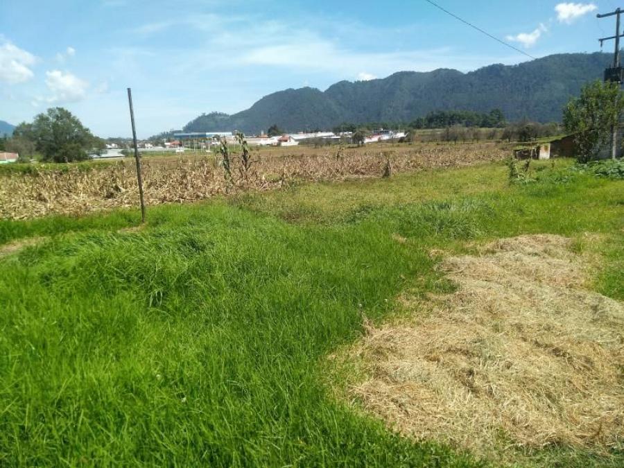 Foto Terreno en Venta en tomatln, Tomatln, Veracruz - $ 6.000.000 - TEV313955 - BienesOnLine