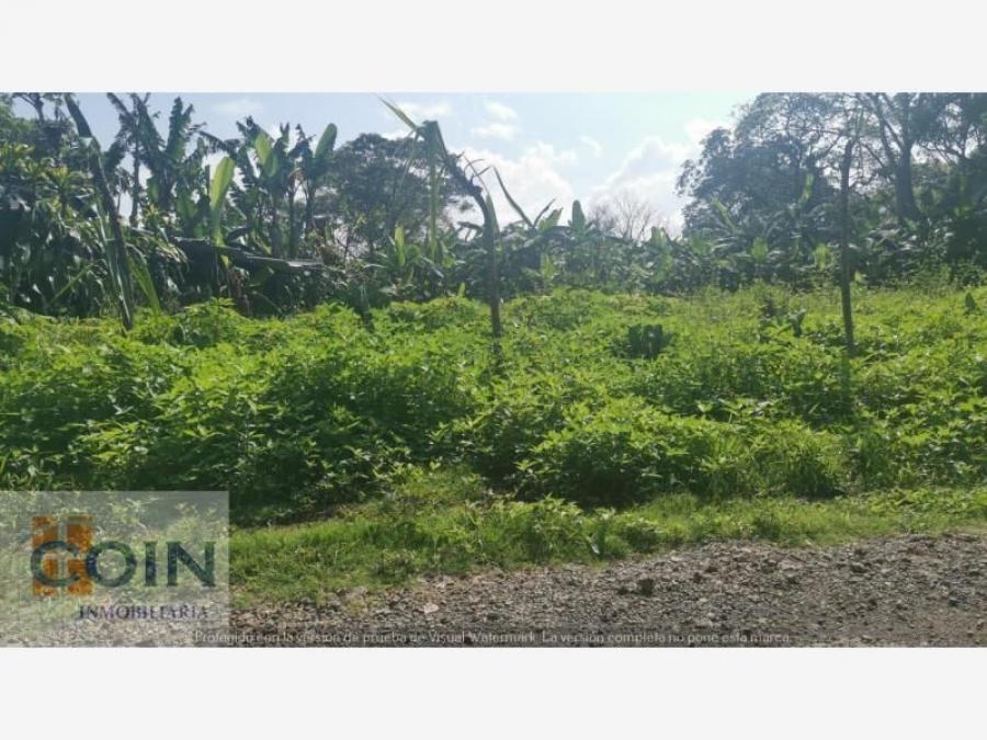 Foto Terreno en Venta en Guadalupe Berreal, Crdoba, Veracruz - $ 1.677.500 - TEV315052 - BienesOnLine