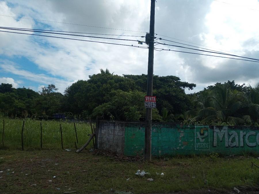 Foto Terreno en Venta en El Tejar, Medelln, Veracruz - $ 950.000 - TEV329872 - BienesOnLine