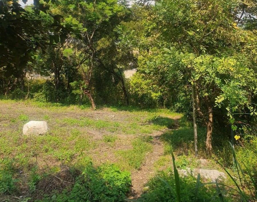 Foto Terreno en Venta en La Estanzuela, Veracruz - $ 800.000 - TEV337538 - BienesOnLine