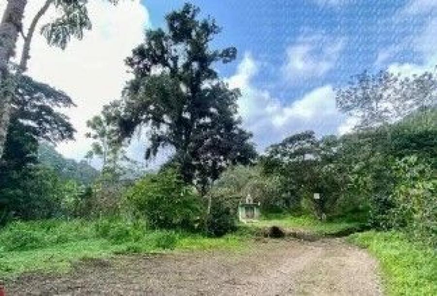 Foto Terreno en Venta en EL HAYA, Xico, Veracruz - $ 275.000 - TEV337951 - BienesOnLine