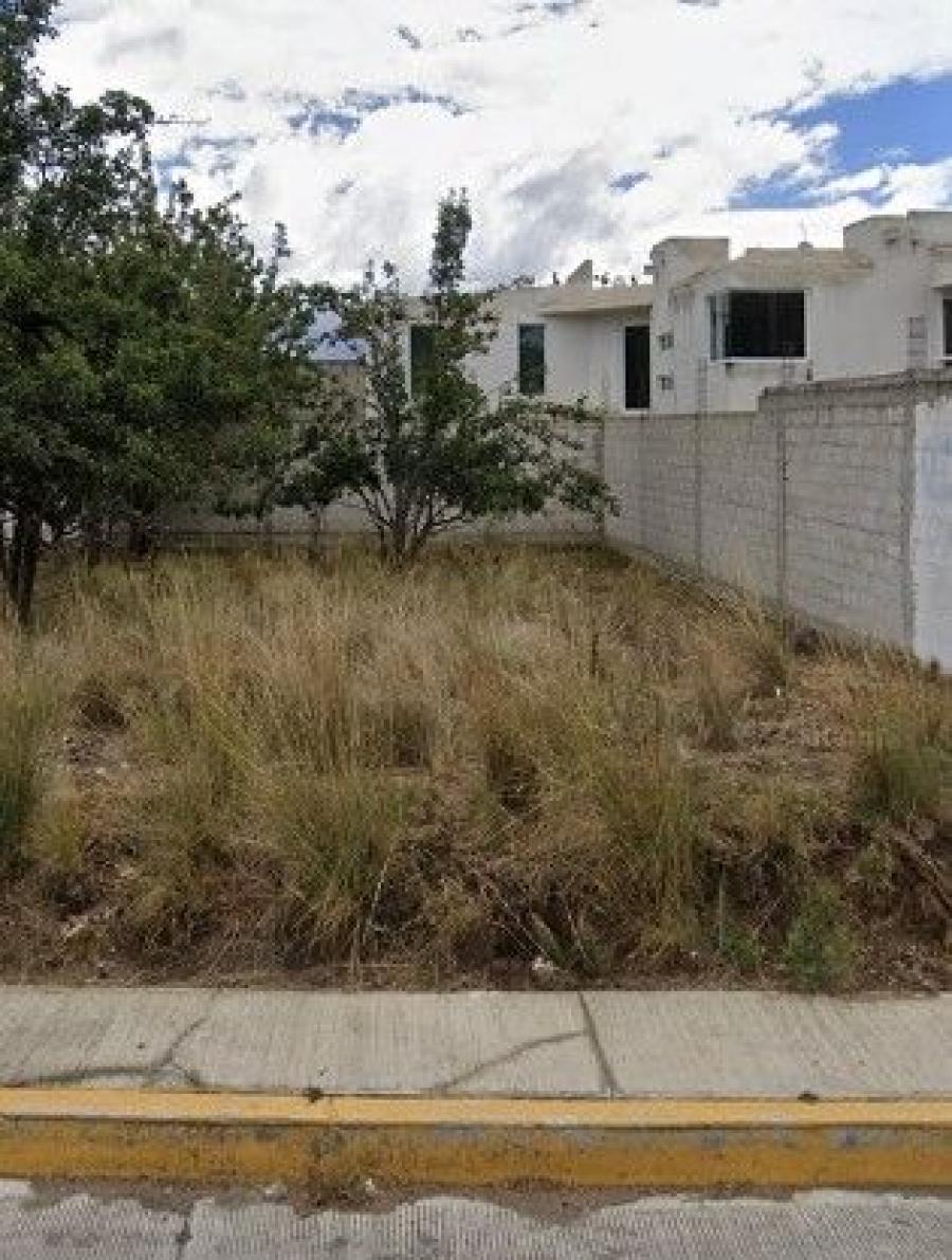 Foto Terreno en Venta en Perote, Veracruz - $ 490.000 - TEV340575 - BienesOnLine