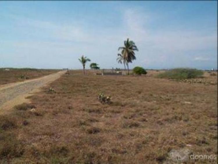 Foto Terreno en Venta en Las Palmas, San Jernimo de Jurez, Guerrero - $ 300.000 - TEV234119 - BienesOnLine