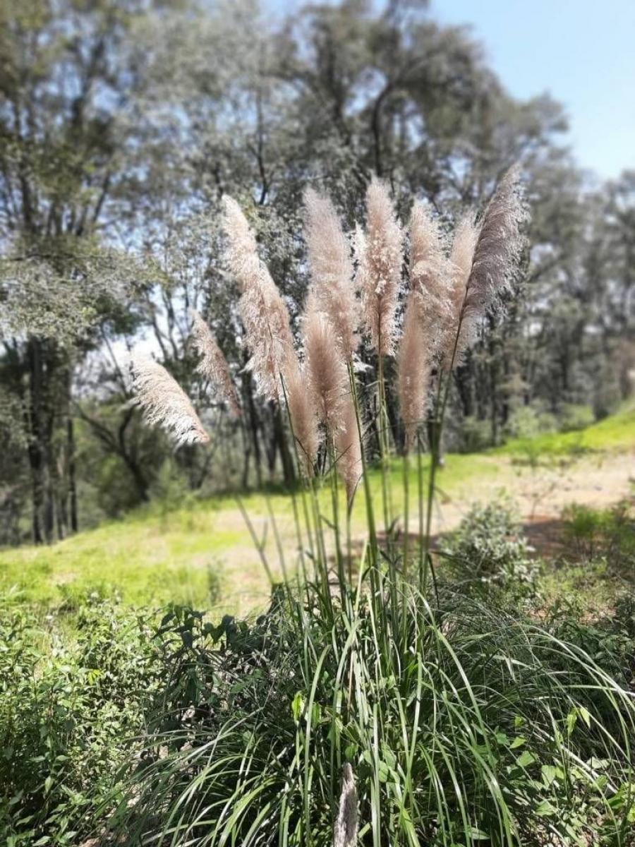 Foto Terreno en Venta en Santa mara mazantla, Atizapan de Zaragoza, Mexico - $ 2.100.000 - TEV353191 - BienesOnLine