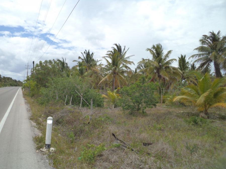 Foto Terreno en Venta en Sinanch, Yucatan - 6 hectareas - $ 1.350.000 - TEV223106 - BienesOnLine