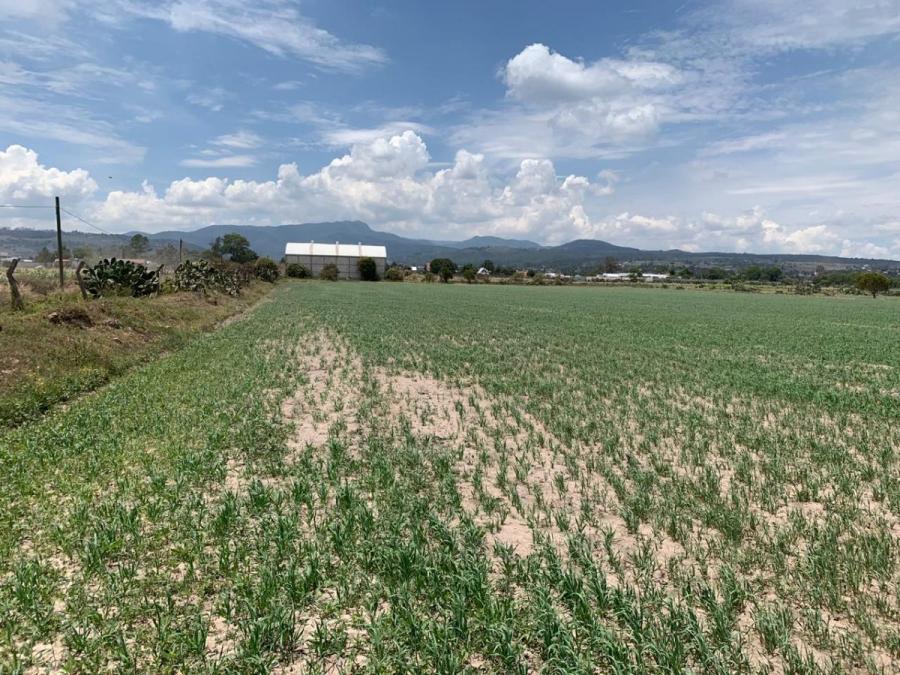 Foto Terreno en Venta en Zona centro Acatln hgo, Acatln, Hidalgo - $ 890 - TEV339065 - BienesOnLine