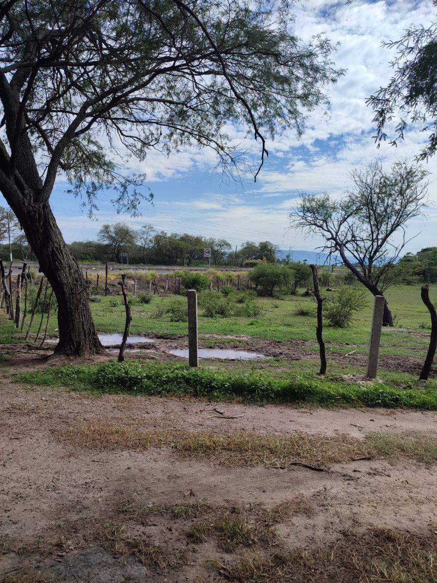 Foto Terreno en Venta en LABOR DE MEDINA, AMECA, Jalisco - $ 15.000.000 - TEV325738 - BienesOnLine