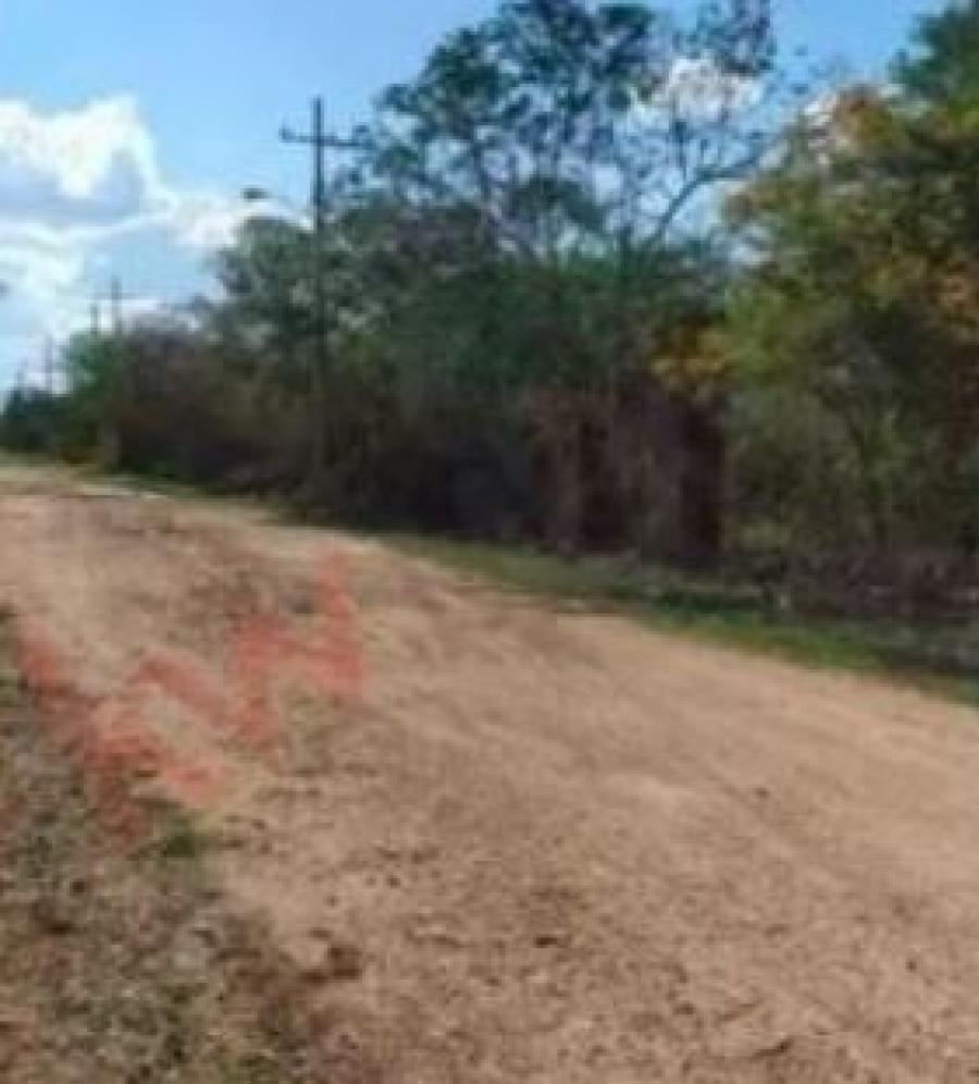 Foto Terreno en Venta en Umn, Yucatan - $ 102.000 - TEV276878 - BienesOnLine