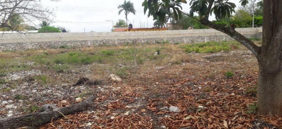 Foto Terreno en Venta en Mrida, Yucatan - $ 320.000 - TEV312413 - BienesOnLine