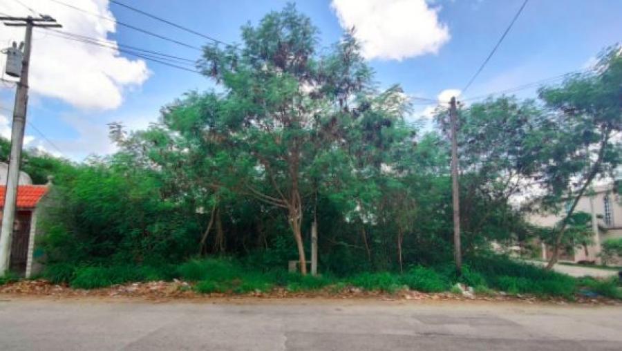 Foto Terreno en Venta en JUAN PABLO II, Mrida, Yucatan - $ 352.000 - TEV307838 - BienesOnLine