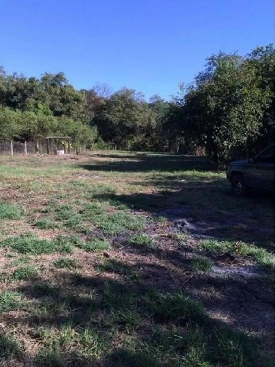 Foto Terreno en Venta en CEJA BLANCA, Iguala de la Independencia, Guerrero - $ 1.700.000 - TEV341152 - BienesOnLine